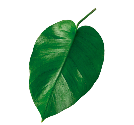 hoja-detalle-producto-5.png